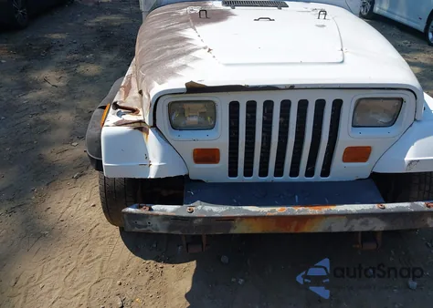 1995 Jeep Wrangler / Yj Se из США, поврежденный, VIN 1J4FY29S9SP202438